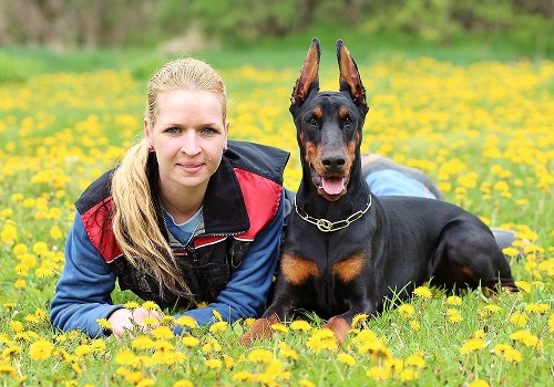 Pets enjoying their time