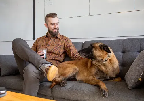 Pet enjoying care