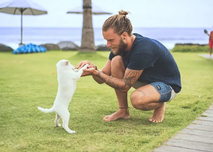 Pet enjoying the outdoors